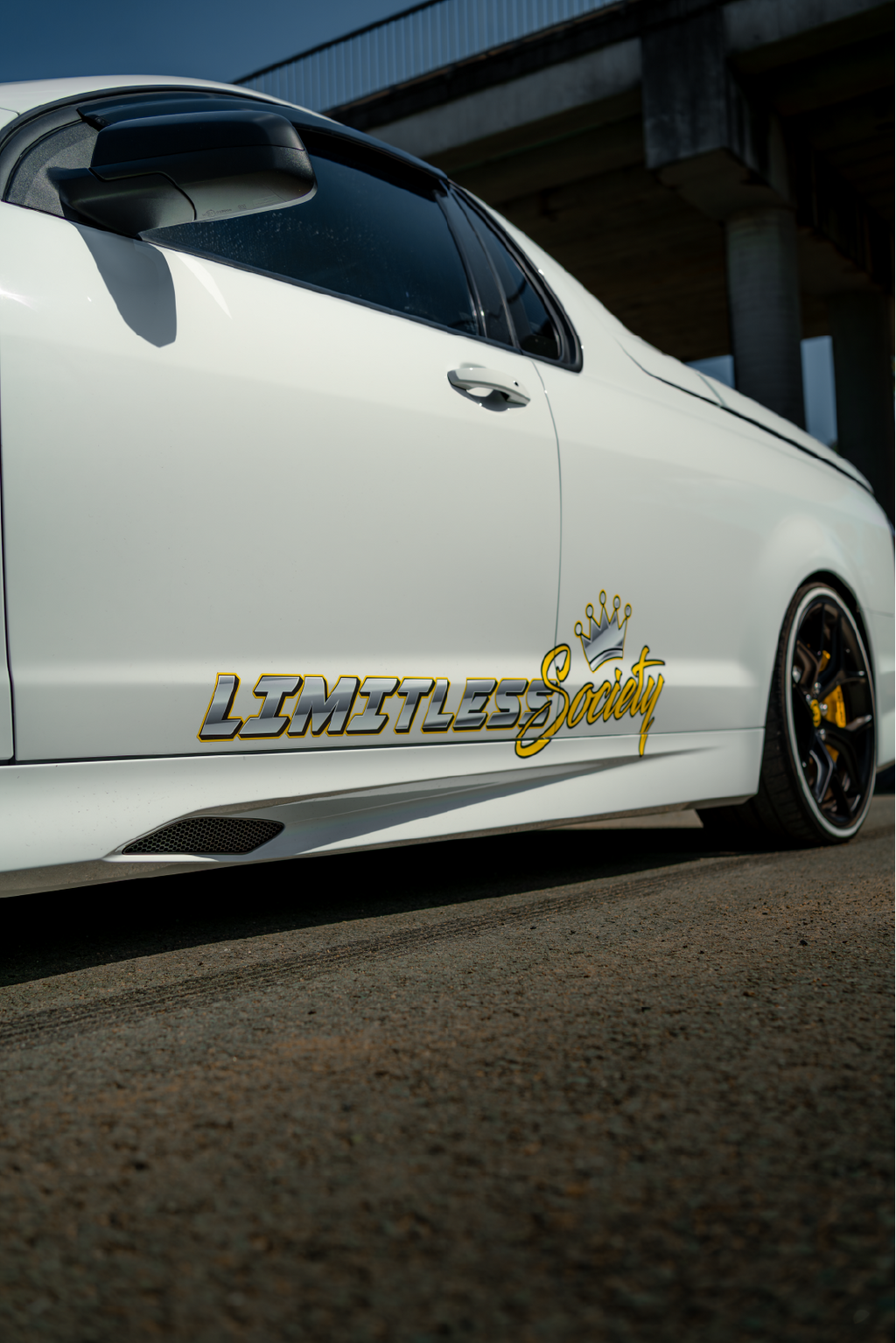 LS Door Banner