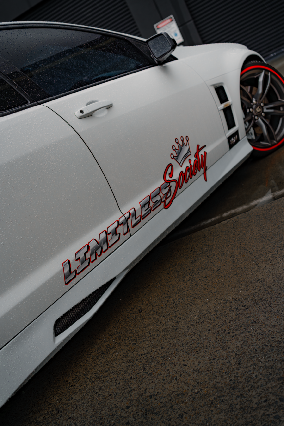 LS Door Banner