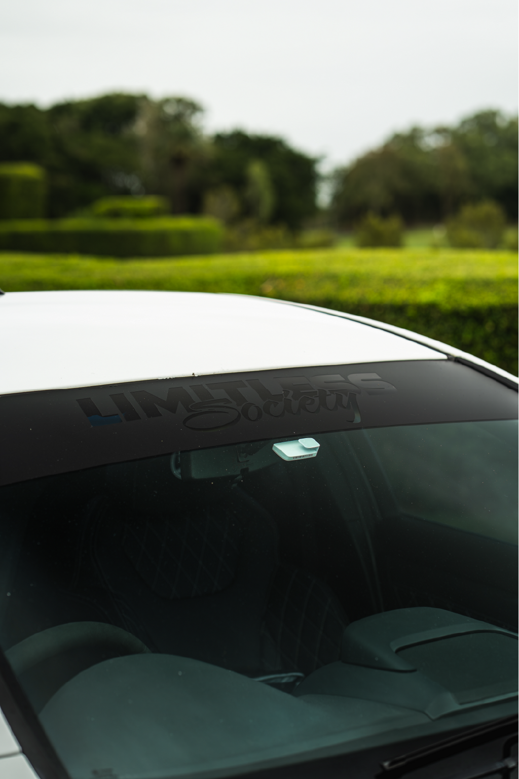 LS Window Banner