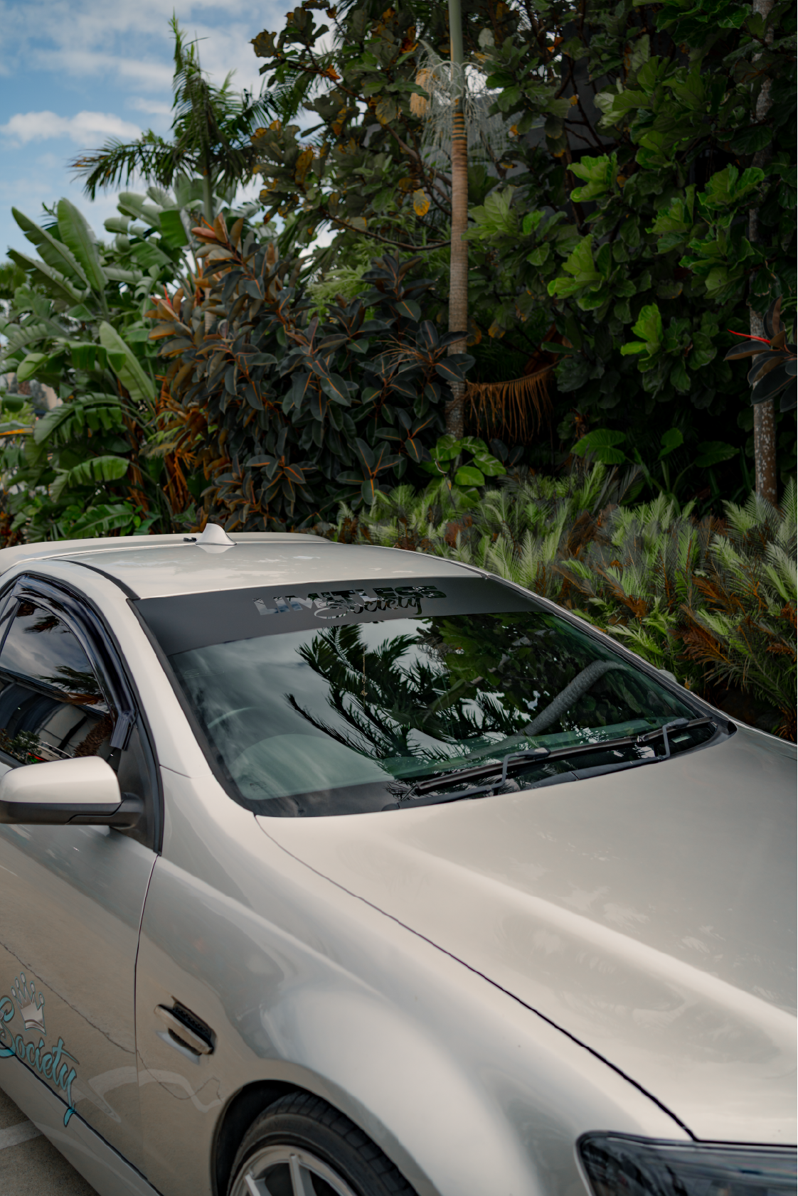 LS Window Banner