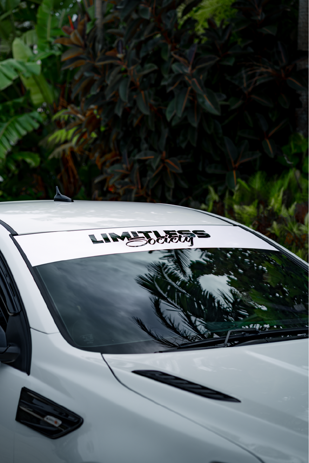 LS Window Banner