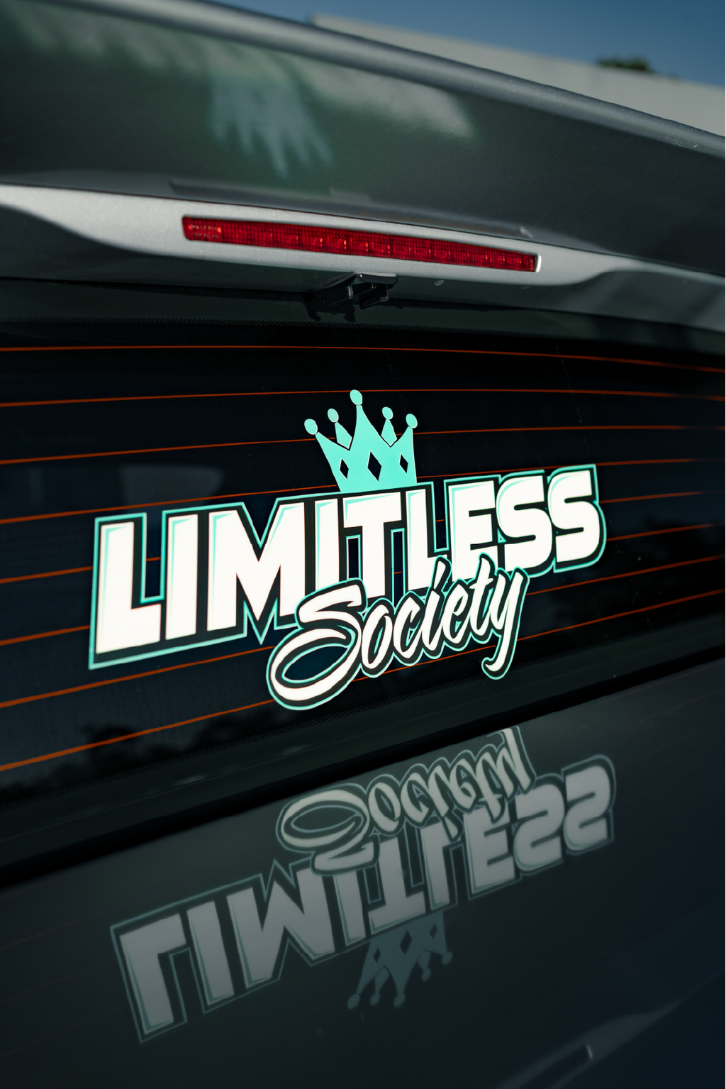 Large LS Sticker