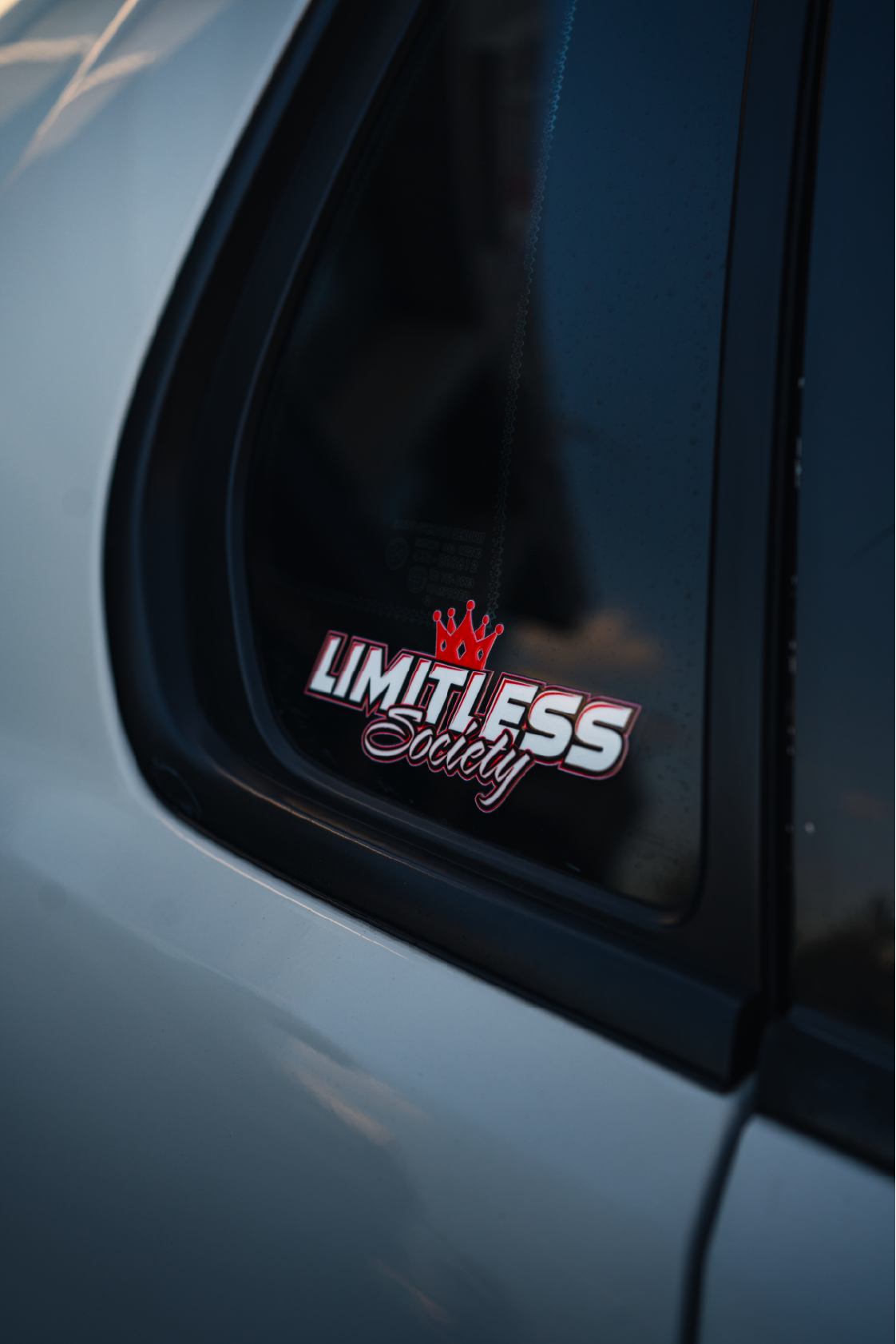 LS Slapper Sticker