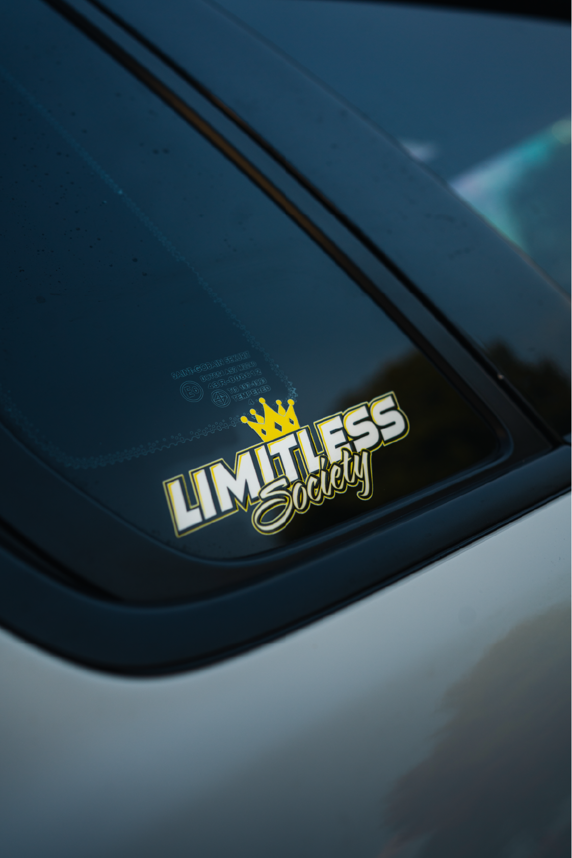 LS Slapper Sticker