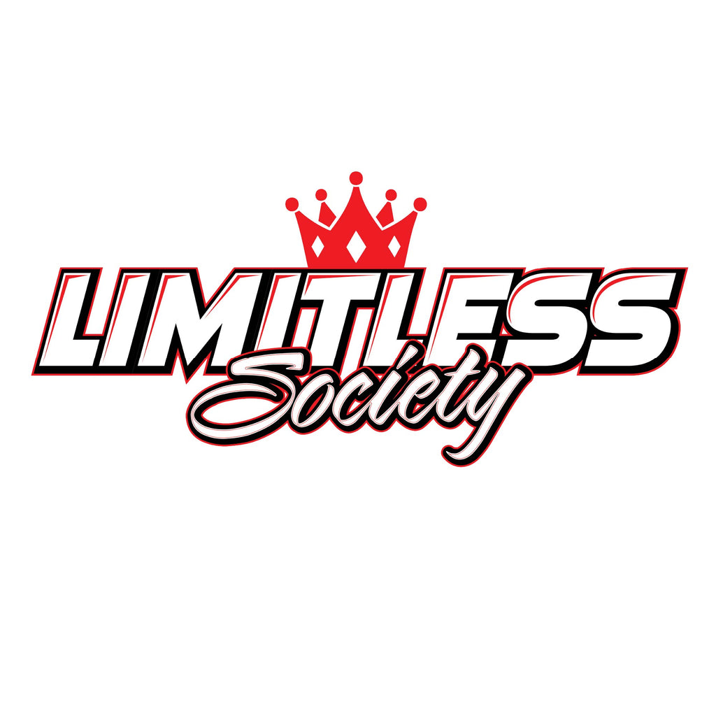 Large LS Sticker