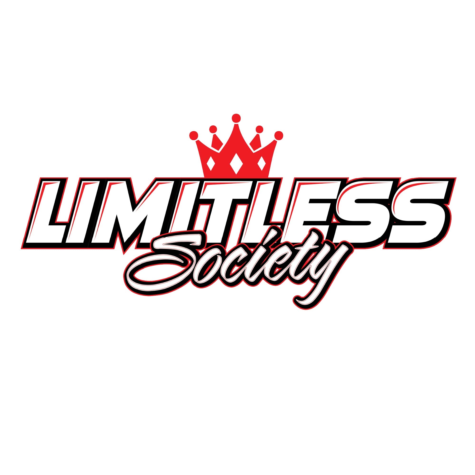 Large LS Sticker